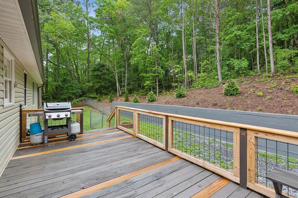 415596 Ellijay Residential