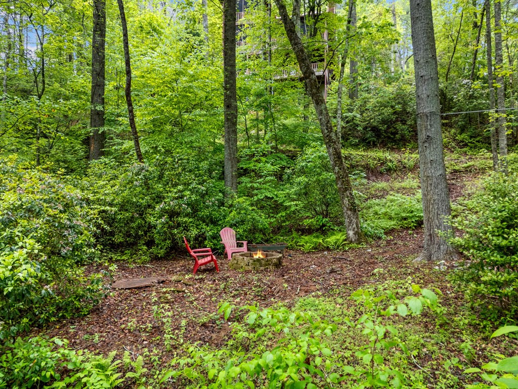 415600 Ellijay Residential