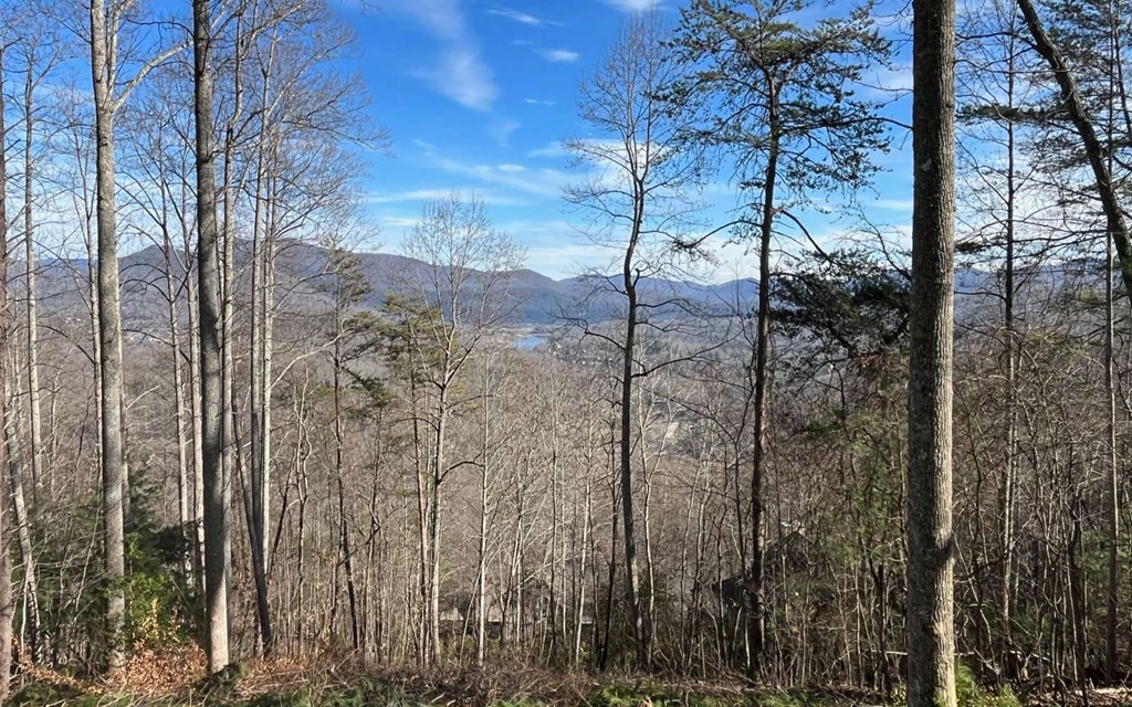 415632 Road Land