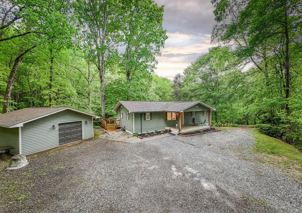 415651 Andrews 