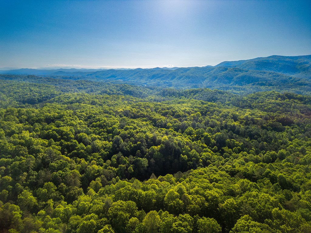 415669 Blue Ridge Residential