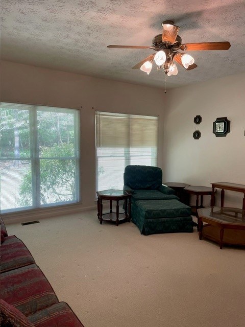 415680 Ellijay Residential