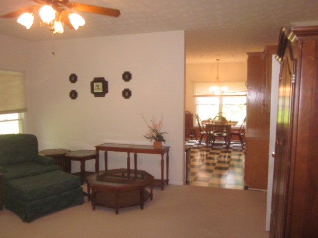 415680 Ellijay Residential
