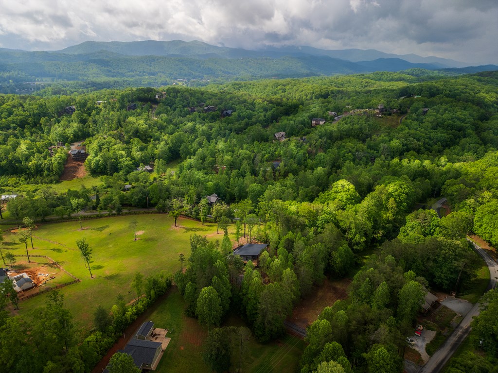 415689 Blue Ridge Residential