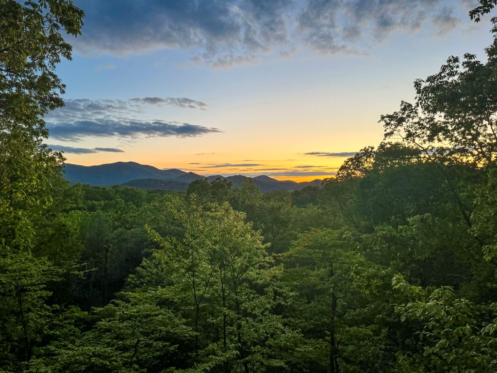 415697 Blairsville Residential