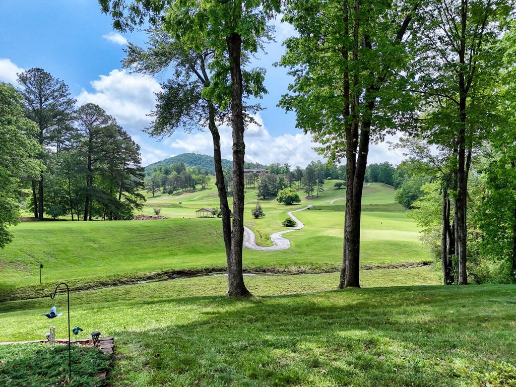 415715 Blairsville Residential