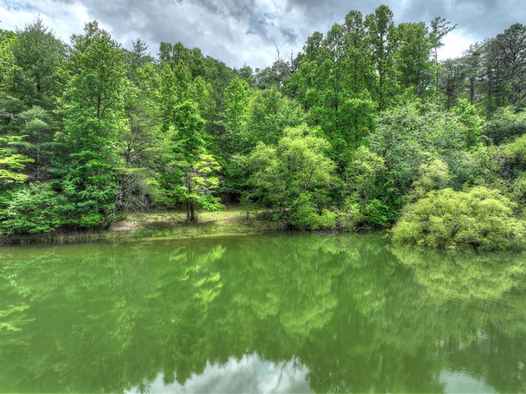 415717 Blairsville Residential
