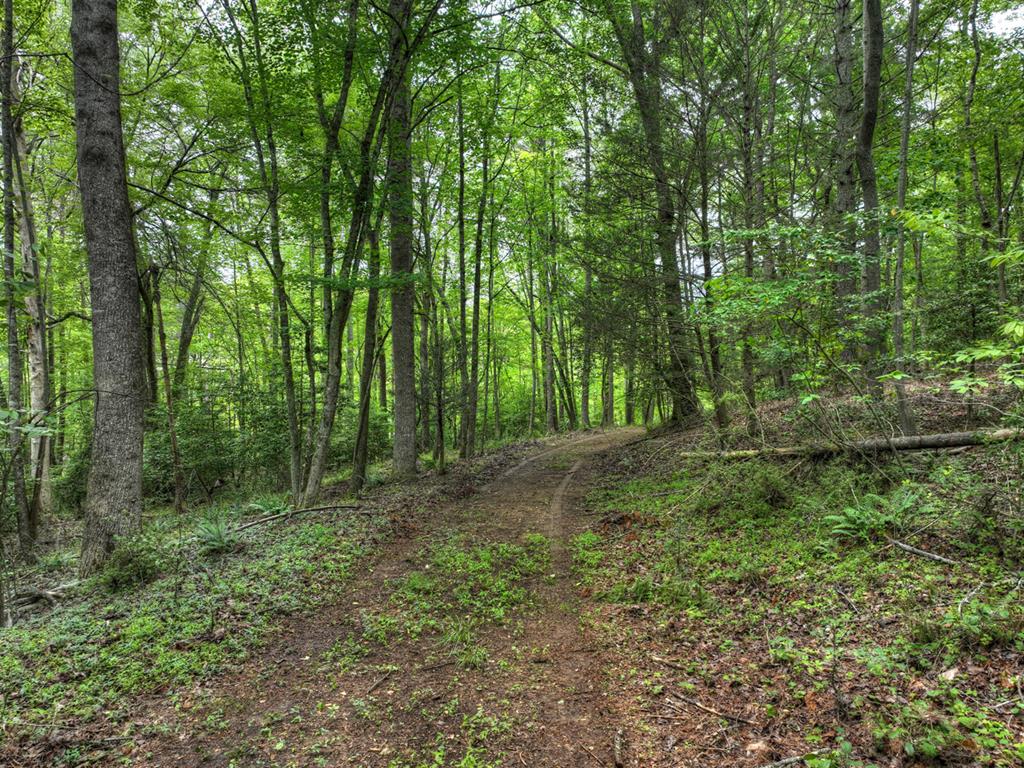 415717 Blairsville Residential
