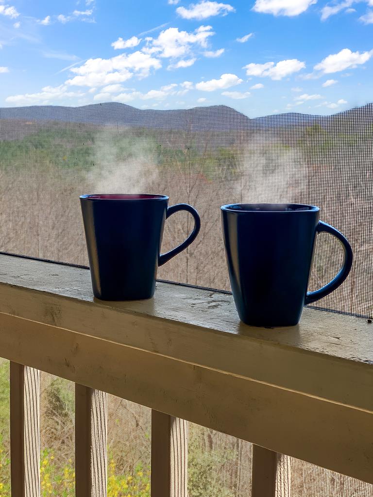 415762 Ellijay Residential