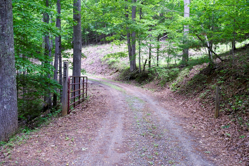 415771 Blue Ridge Residential