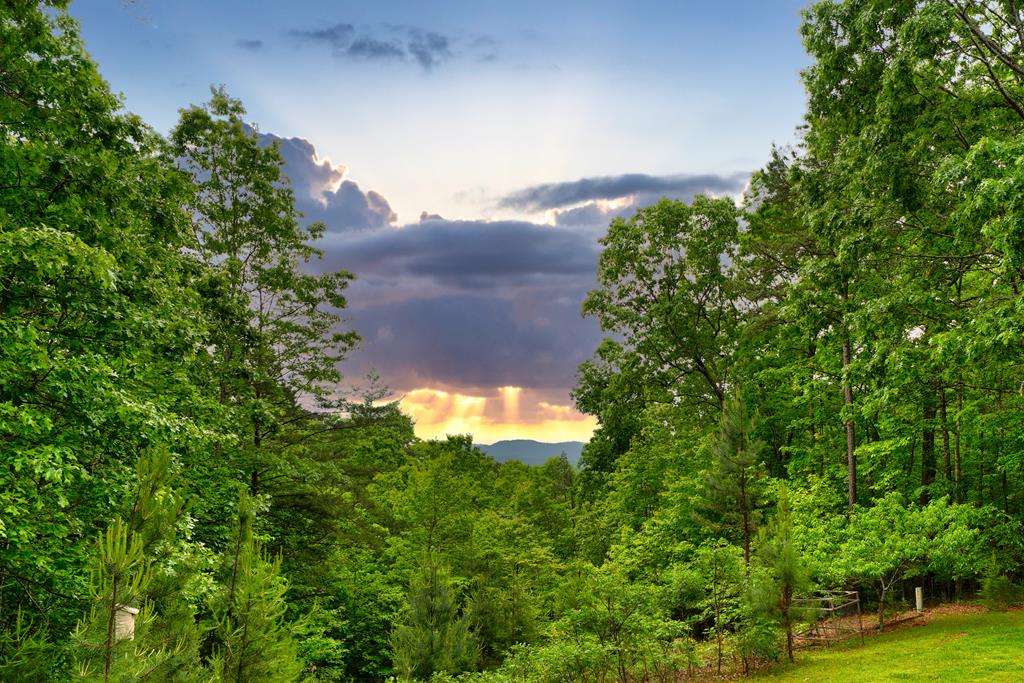 415785 Mineral Bluff Residential