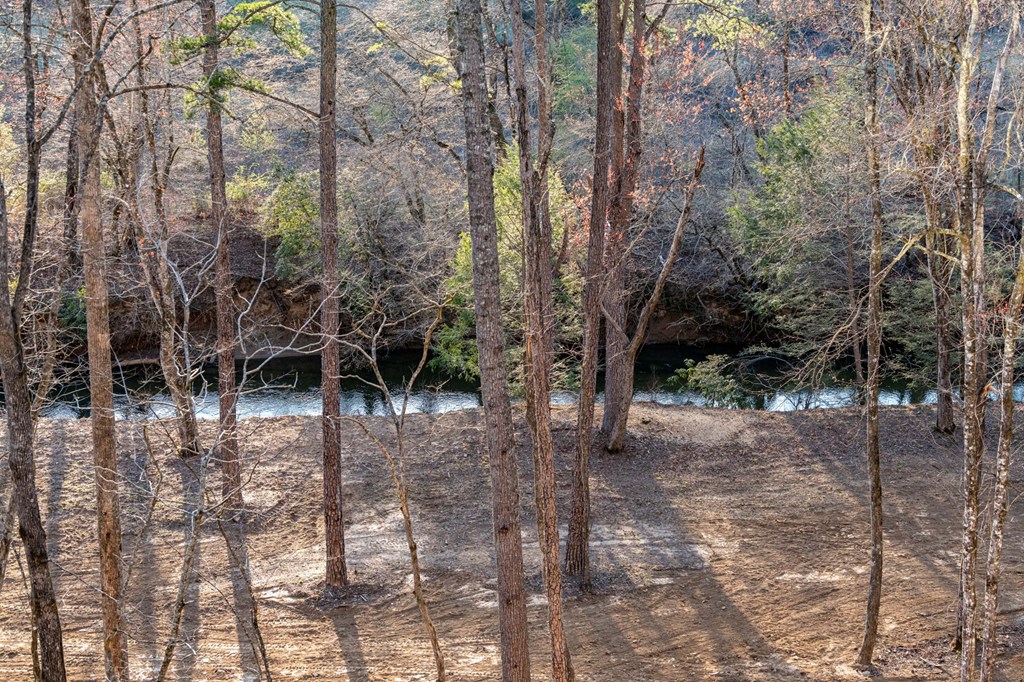 415786 Blue Ridge Residential