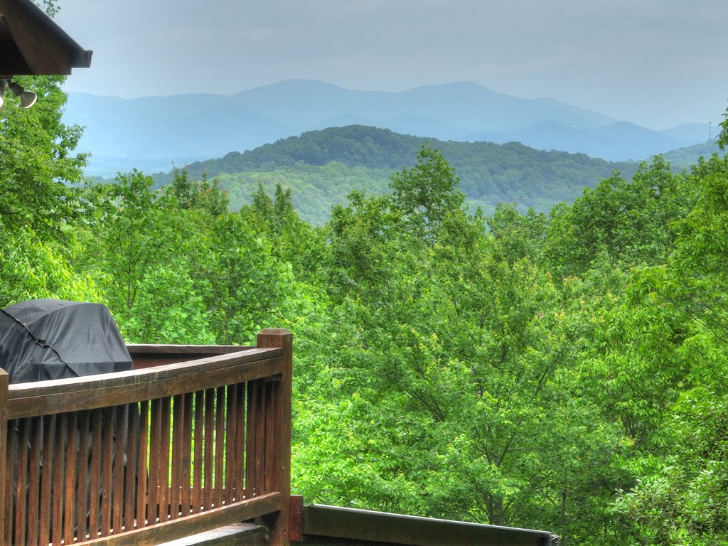 415807 Blue Ridge Residential