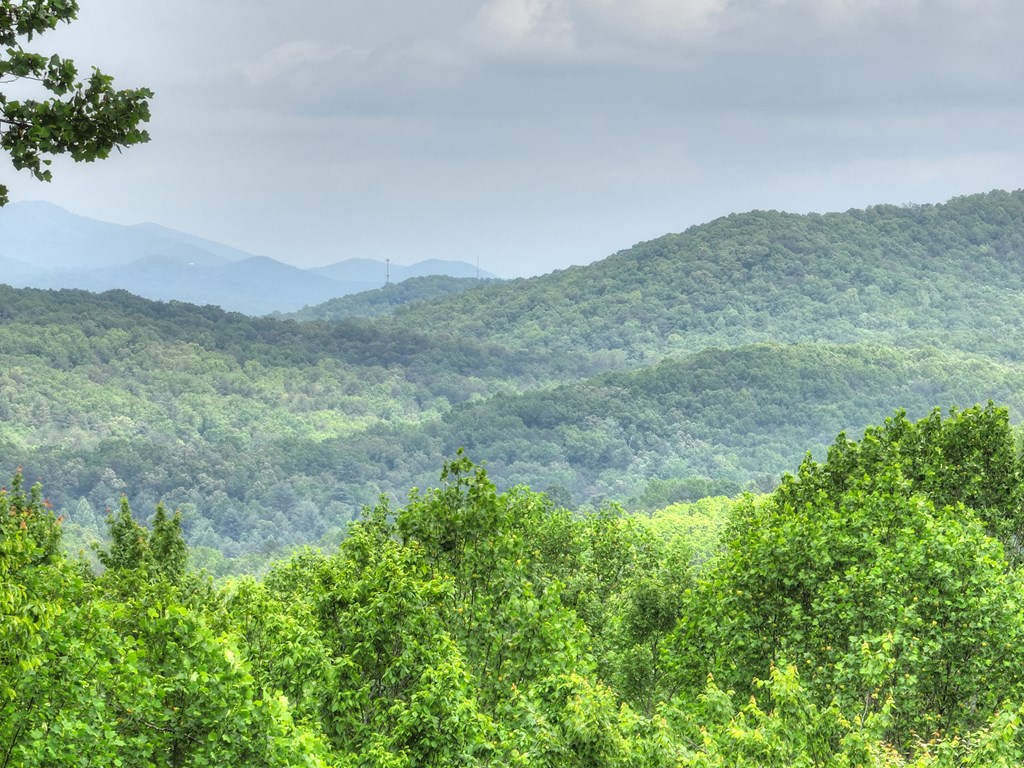 415807 Blue Ridge Residential