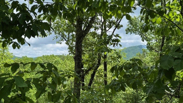 415829 Mineral Bluff Residential
