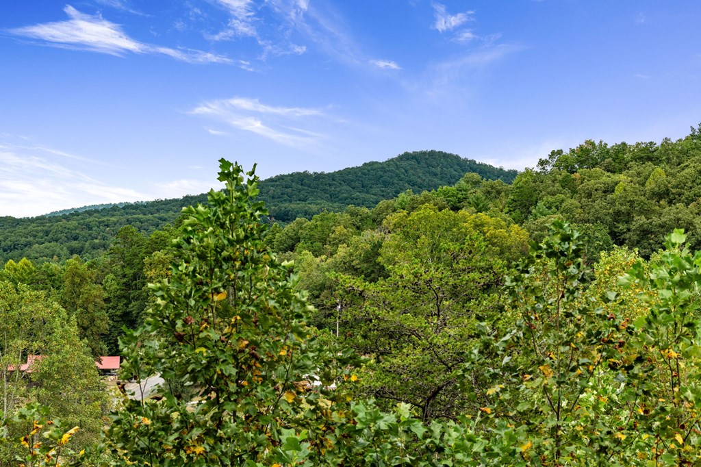 415841 Mineral Bluff Residential
