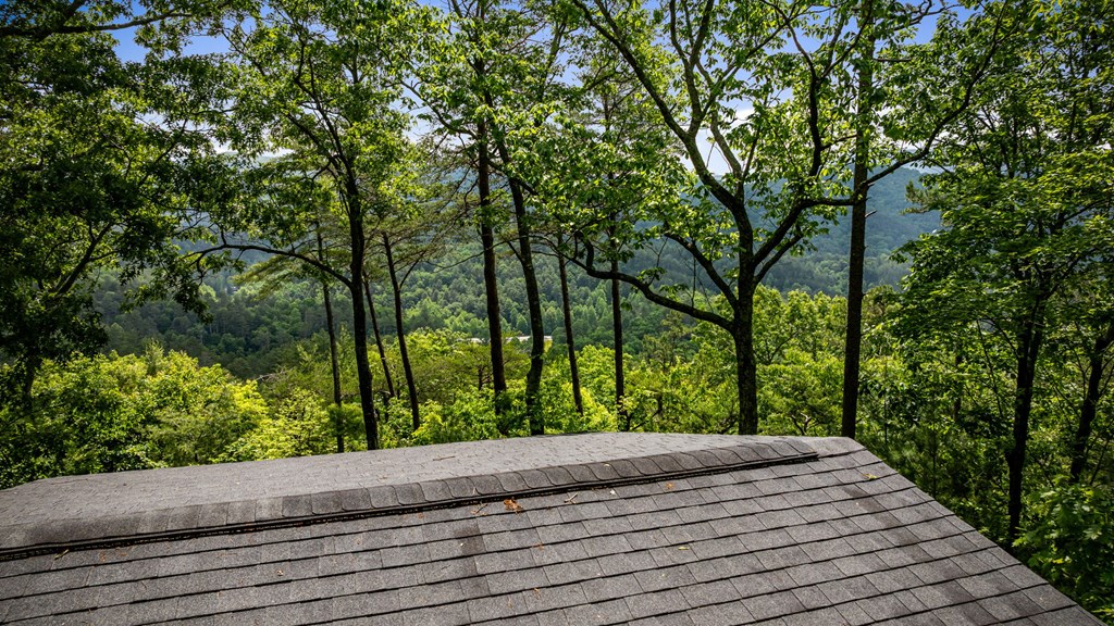 415860 Blue Ridge Residential