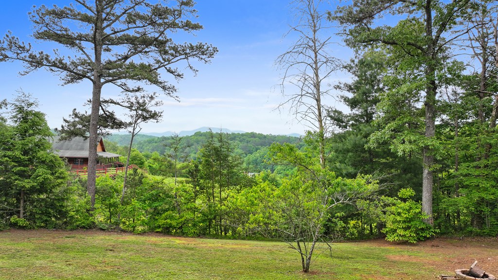 415870 Turtletown Residential