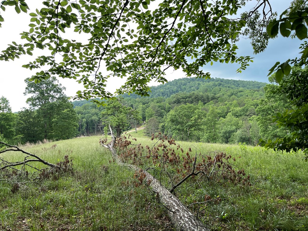 415875 Hayesville Residential