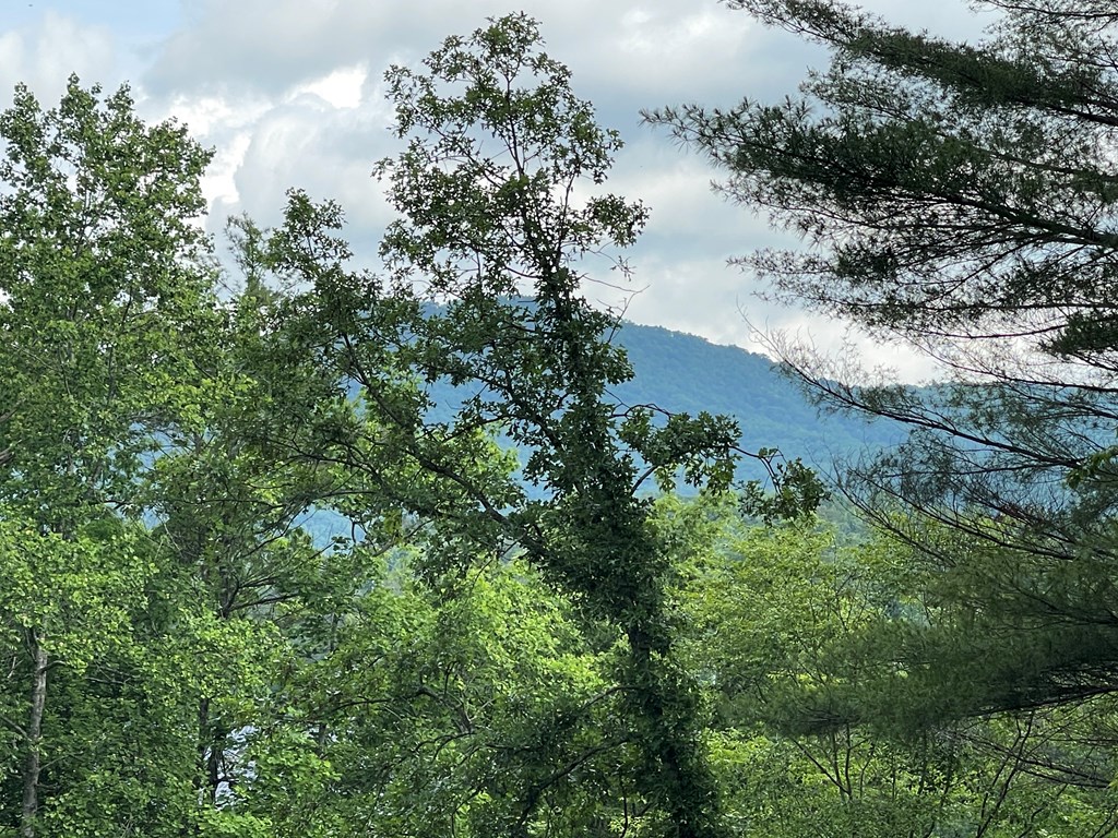 415875 Hayesville Residential