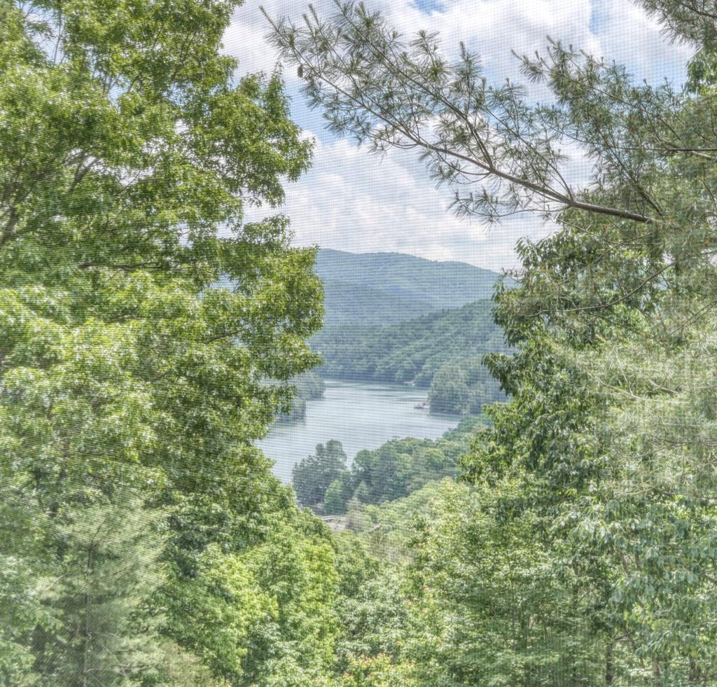 415891 Blue Ridge Residential