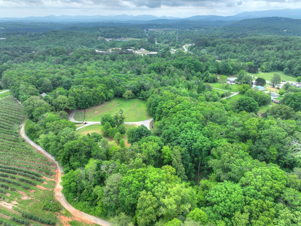 415919 Blue Ridge Residential