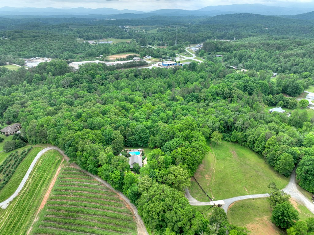 415919 Blue Ridge Residential