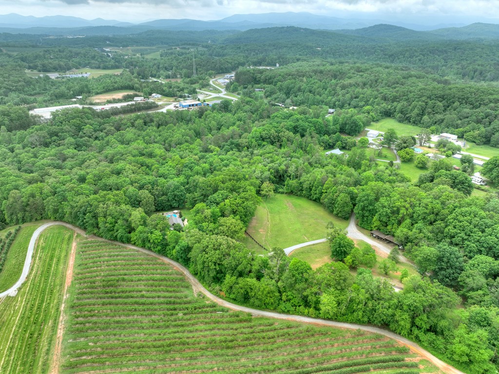 415919 Blue Ridge Residential