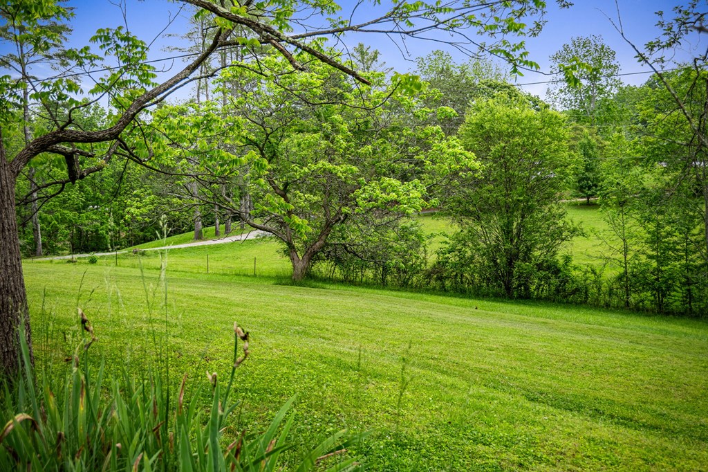 415930 Blue Ridge Residential
