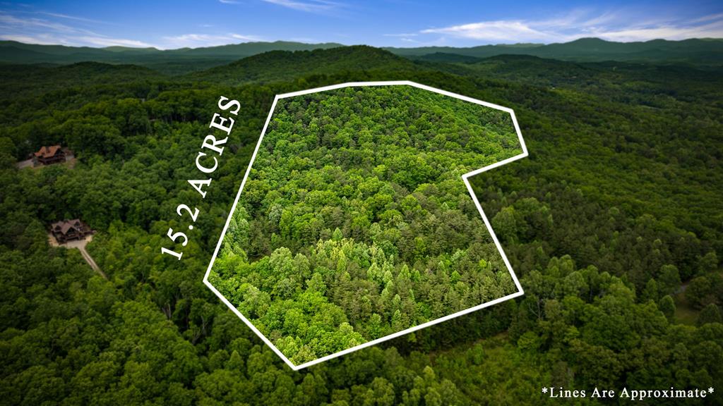 415942 Blue Ridge 