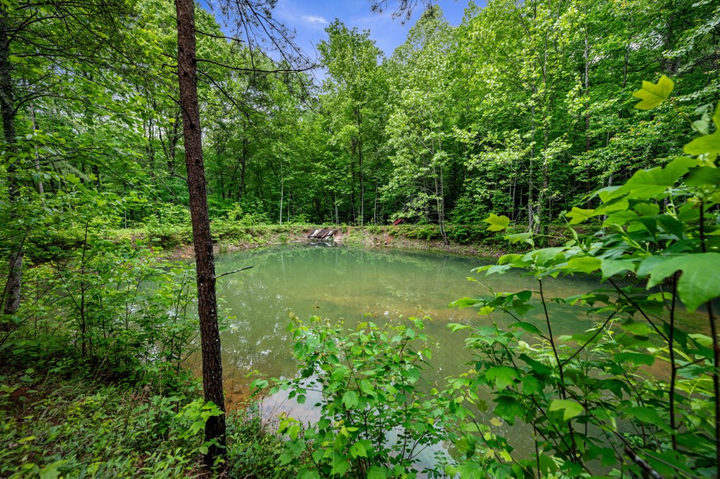 415942 Blue Ridge Residential