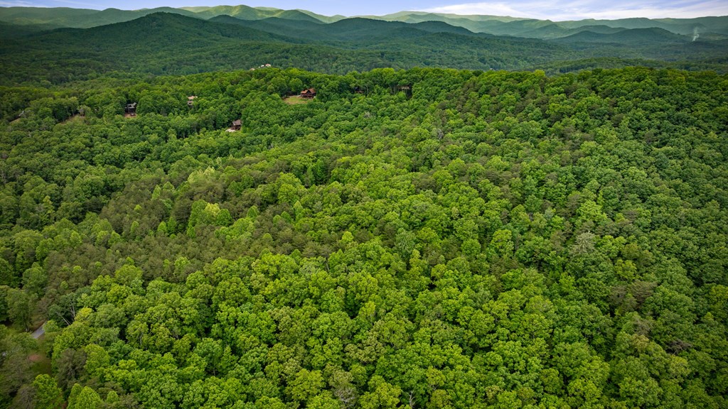 415942 Blue Ridge Residential
