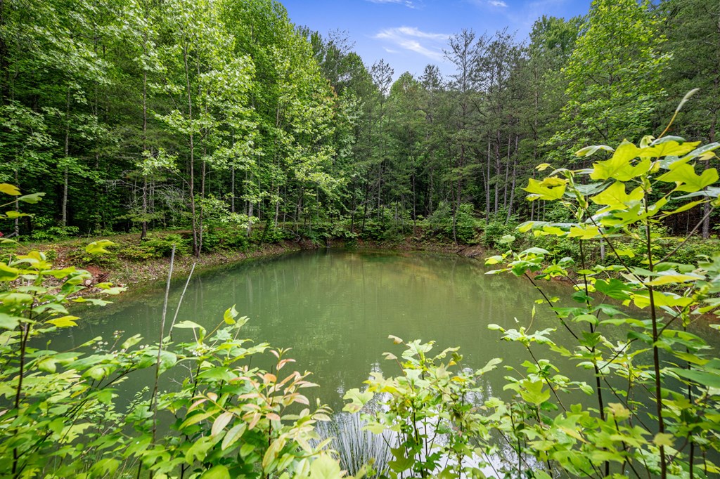 415942 Blue Ridge Residential