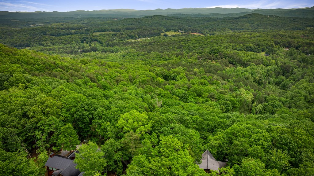 415942 Blue Ridge Residential