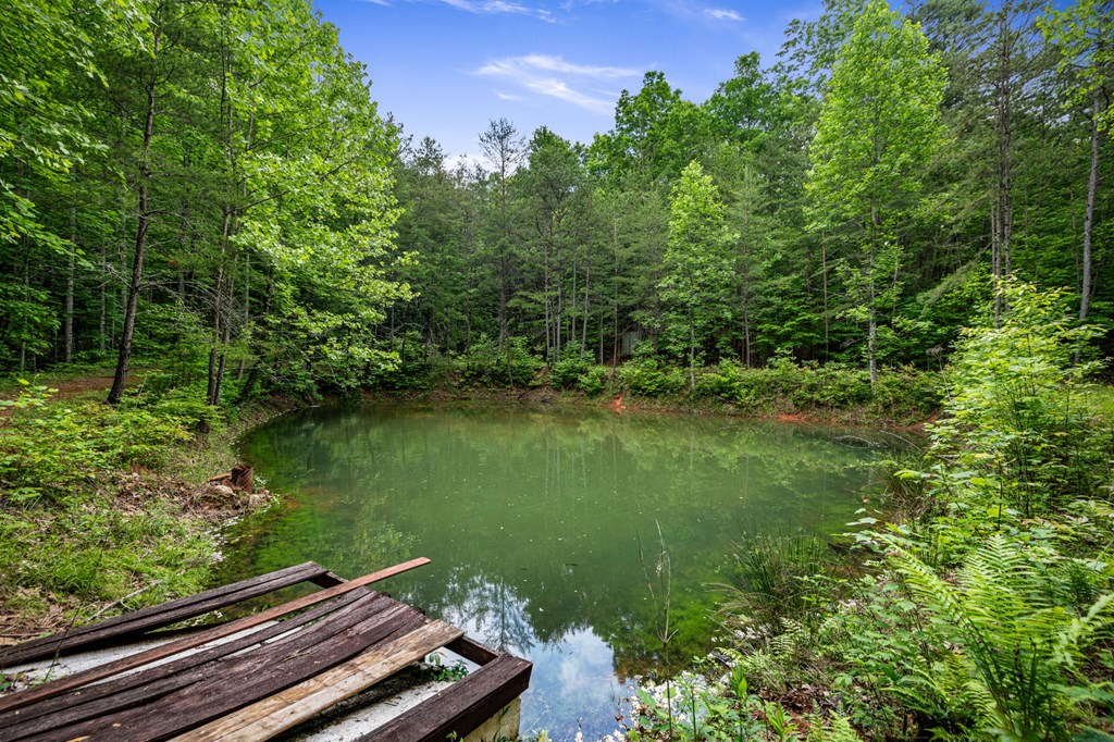 415942 Blue Ridge Residential