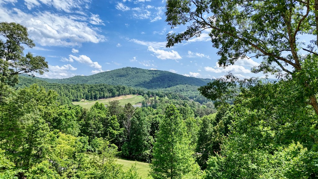 415947 Blairsville Residential