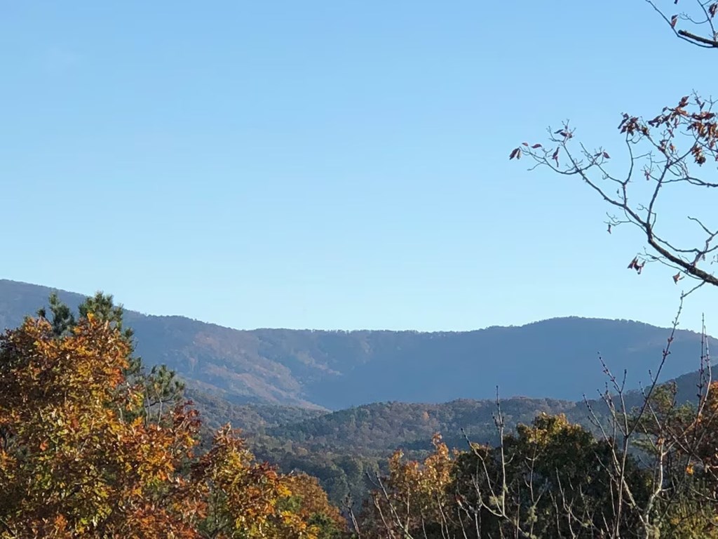 415948 Blue Ridge Residential