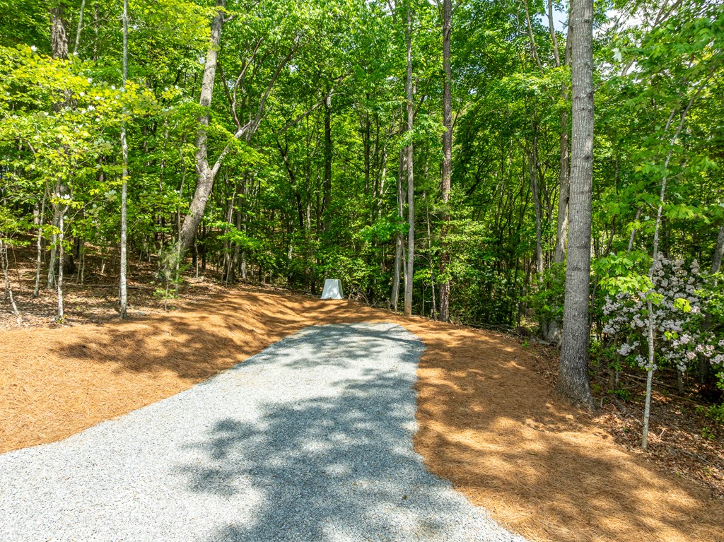 415951 Morganton Residential