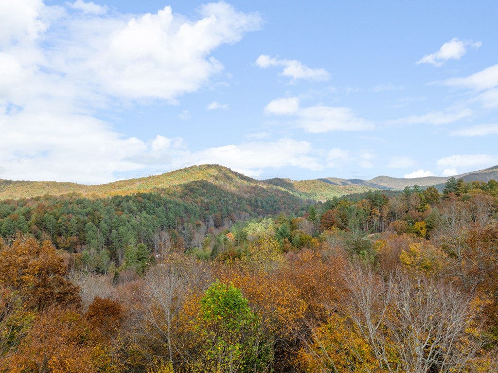 415958 Blue Ridge Residential