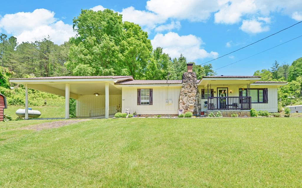 415964 Turtletown 