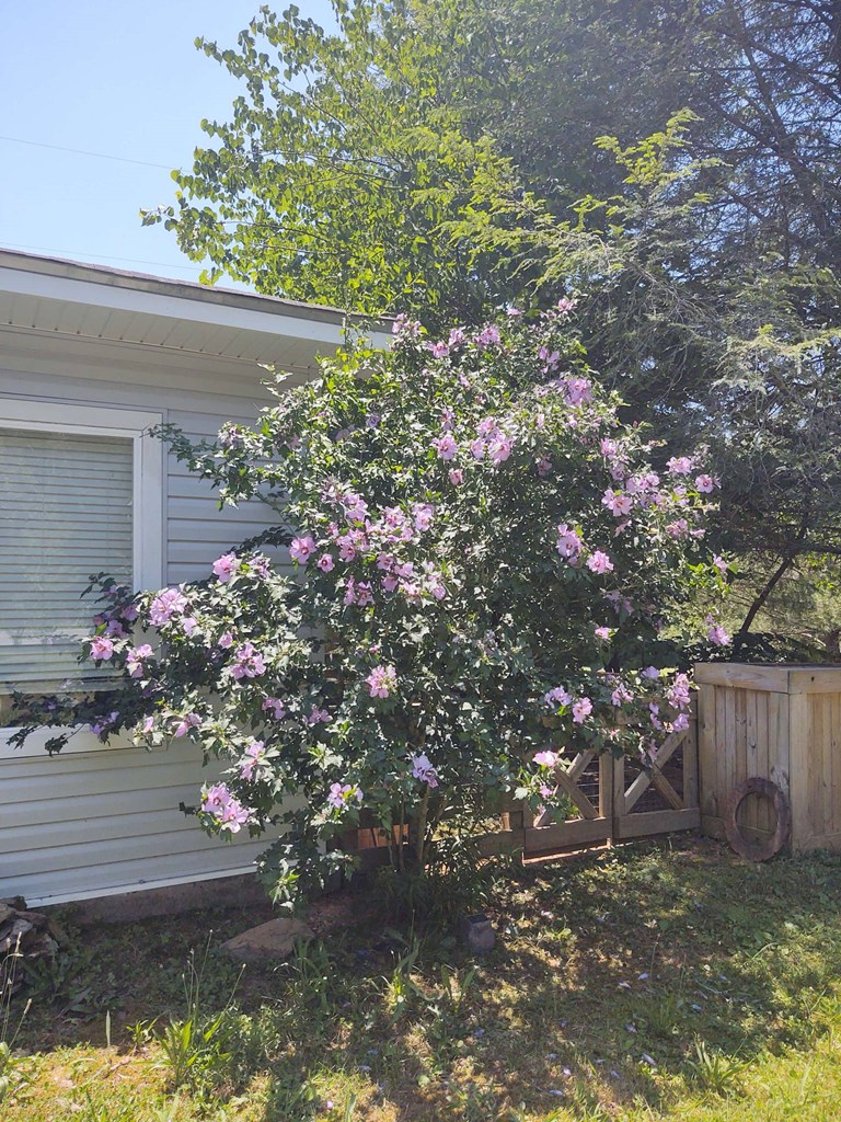 416030 Ellijay Residential