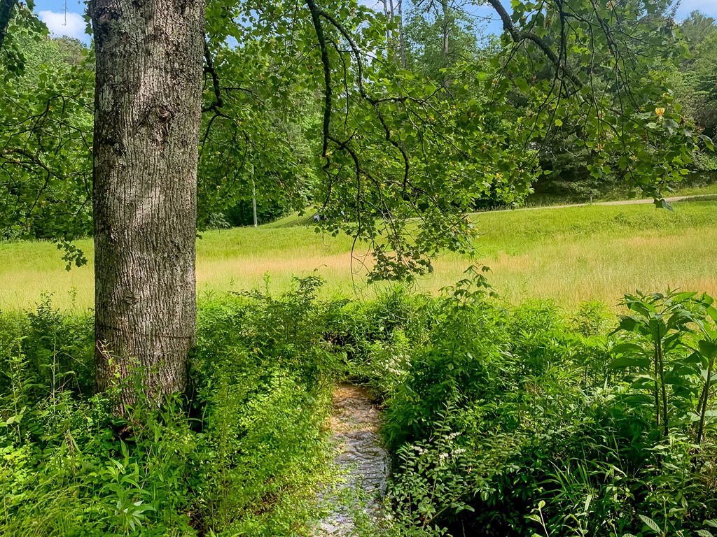 416037 Ellijay Residential