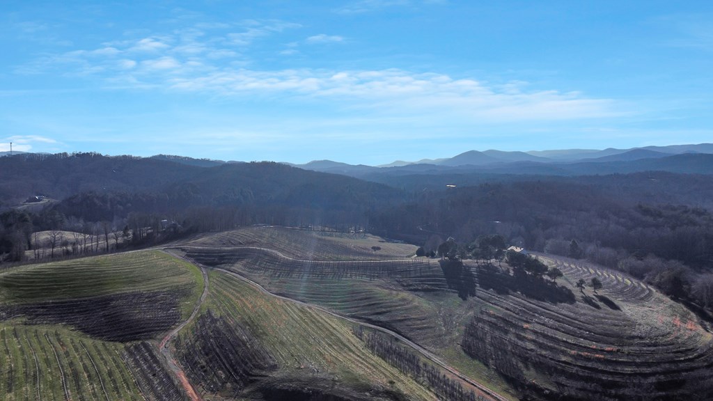 416064 Blue Ridge Residential