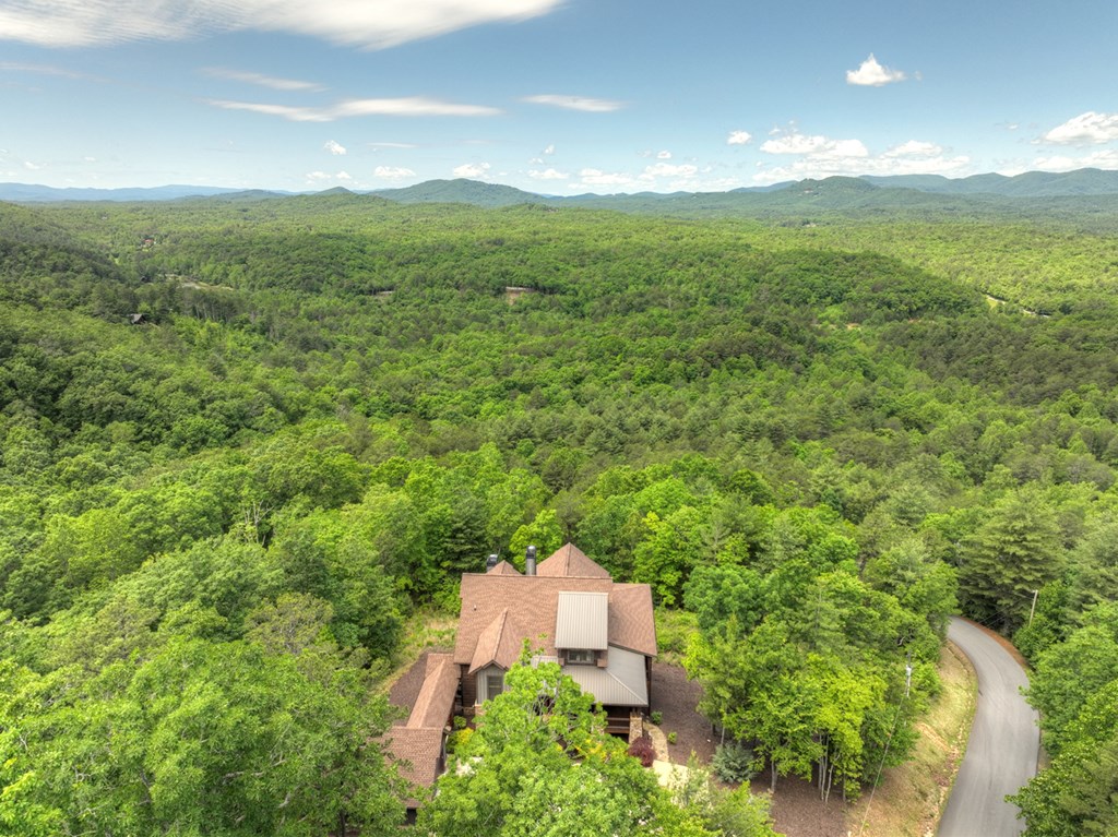 416175 Mineral Bluff Residential