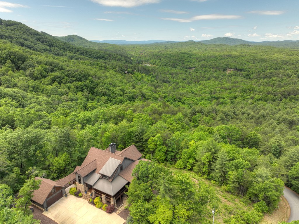 416175 Mineral Bluff Residential