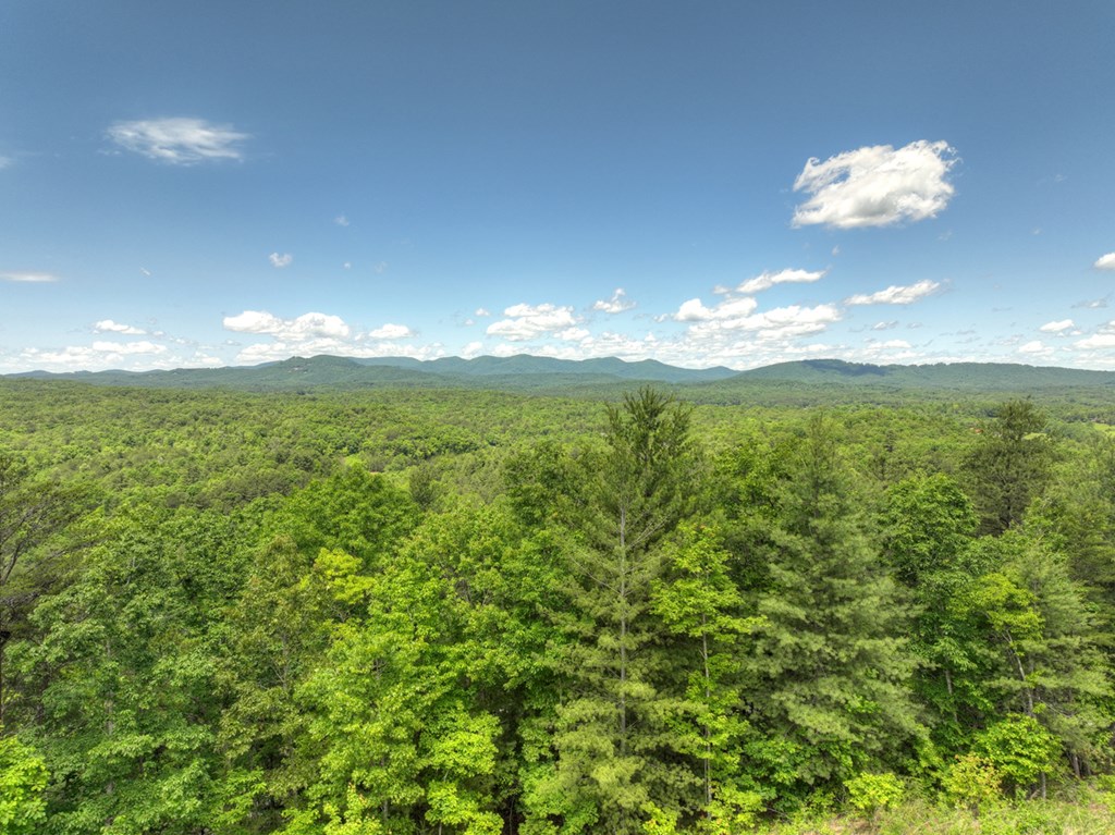 416175 Mineral Bluff Residential