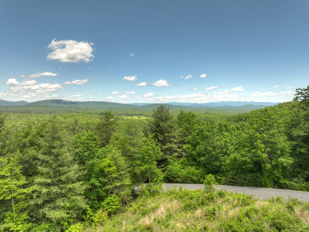 416175 Mineral Bluff Residential