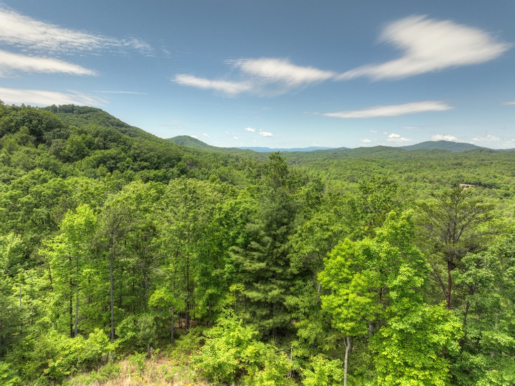 416175 Mineral Bluff Residential