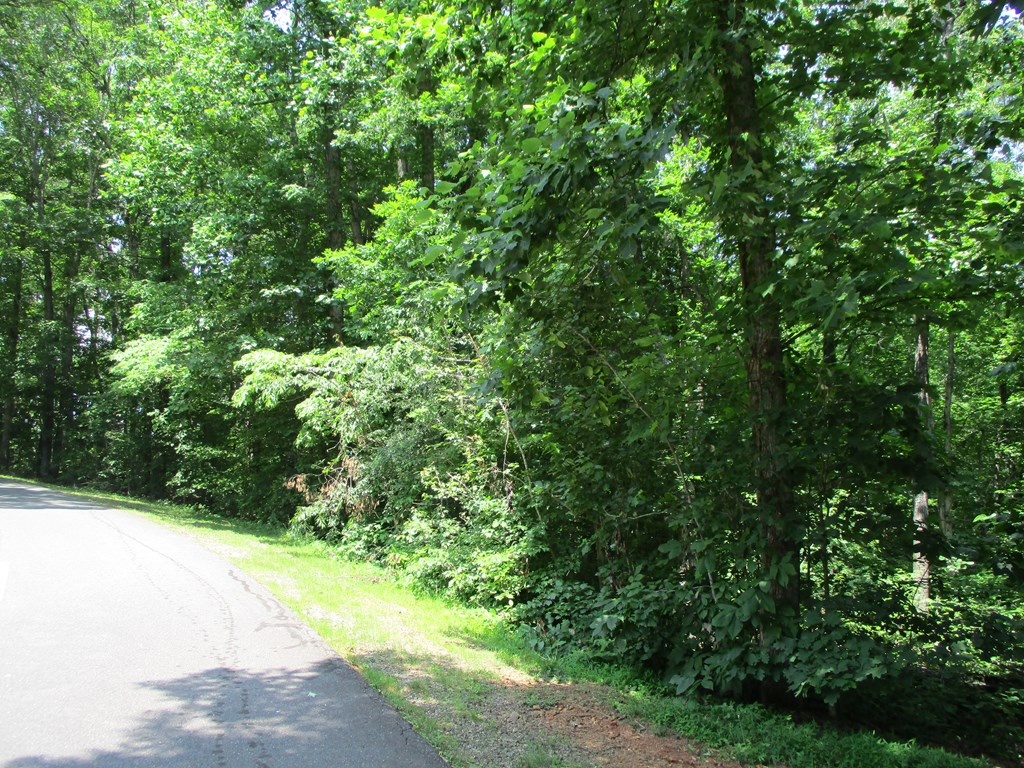 416191 Hayesville
 Land