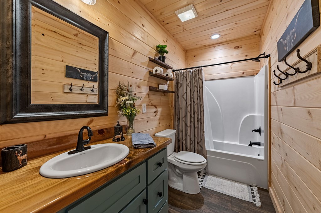 416197 Mineral Bluff Residential